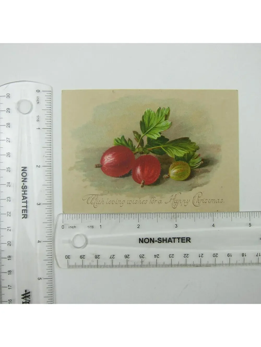 Victorian Christmas Card Red & Green Gooseberry Fruit Bunch Leaves Antique RARE